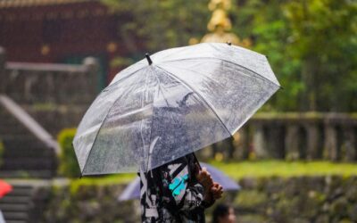 Cómo afecta el clima al dolor articular